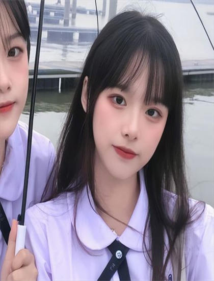 《恐龙故事》的艺术感人至深的：美学价值与创作技巧探讨